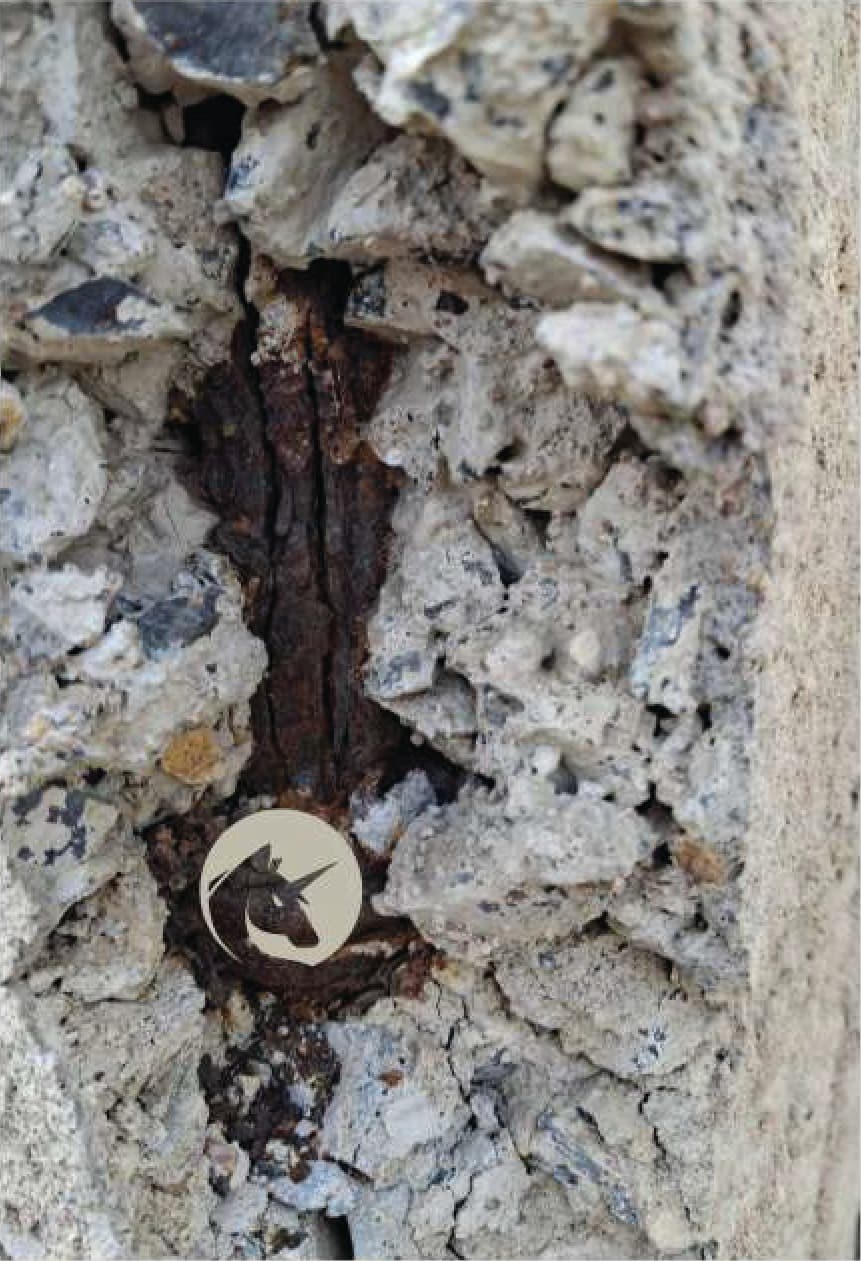 Damaged concrete and exposed reinforcement requiring maintenance.